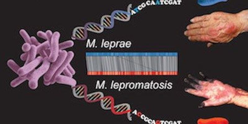 Illustration 2